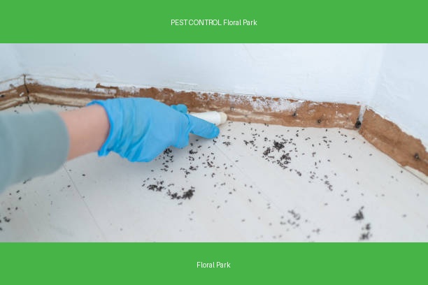 PEST CONTROL Floral Park